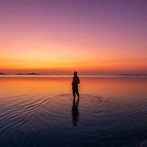 Mar, Desierto y Fotografía: La Belleza Natural de Baja California Sur | Fotografía Profesional y Momentos Especiales en Baja California Sur