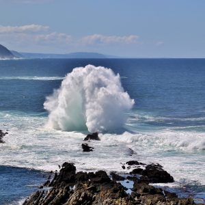 ocean-241665_960_720.jpg Cabo San Lucas en Acción: Fortaleciendo el Liderazgo Participativo | Liderazgo Ciudadano y Transformación en Baja California Sur