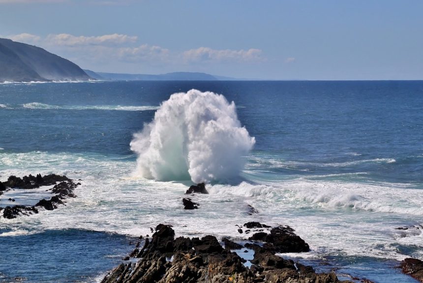 Cabo San Lucas en Acción: Fortaleciendo el Liderazgo Participativo | Liderazgo Ciudadano y Transformación en Baja California Sur