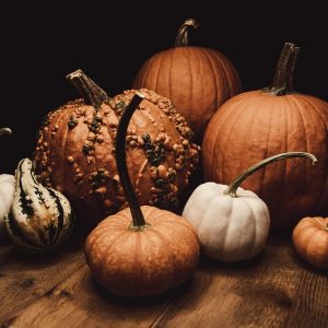 pumpkins-8032727_960_720.jpg Acción Ciudadana en Cabo San Lucas: Claves para un Liderazgo Efectivo | Liderazgo Ciudadano y Transformación en Baja California Sur