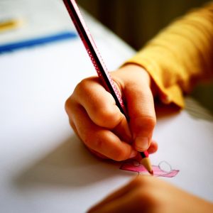 Formación y habilidades de un especialista en criminalística: una guía para el futuro de la seguridad | Seguridad en Baja California Sur