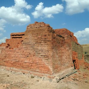 Construyendo el Futuro: El Papel del Líder Comunitario en Cabo San Lucas | Liderazgo Ciudadano y Transformación en Baja California Sur