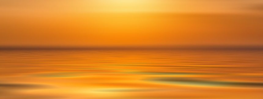 Claro, aquí tienes algunas sugerencias de títulos para artículos sobre fotografía profesional en Cabo San Lucas, centrados en la edición fotográfica: | Fotografía Profesional y Momentos Especiales en Baja California Sur