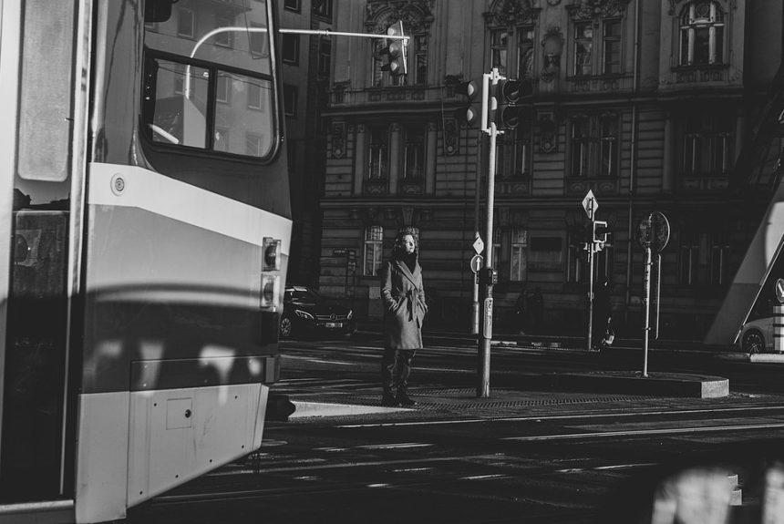Espero que estos títulos sean de utilidad para tu proyecto. | Liderazgo Ciudadano y Transformación en Baja California Sur