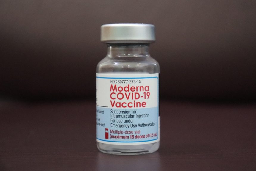 vaccine-6557420_960_720.jpg La Prevención del Delito como Pilar del Desarrollo Turístico en Los Cabos | Seguridad en Baja California Sur
