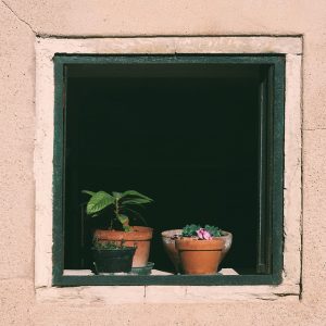 Conociendo tus Derechos: Asesoría Legal en Casos Penales en Cabo San Lucas | Justicia Penal y Derechos en Baja California Sur