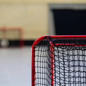 Deporte para Todos: El Futuro Inclusivo de Cabo San Lucas | Inclusión Social y Transformación en Baja California Sur