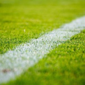 Deportes y Comunidad: Iniciativas de Inclusión en Cabo San Lucas | Inclusión Social y Transformación en Baja California Sur