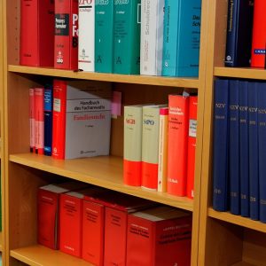 Derecho Penal en Cabo San Lucas: Retos y Soluciones | Justicia Penal y Derechos en Baja California Sur