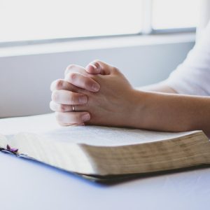 Espero-que-estos-titulos-sean-utiles-e-inspiren-a-tu.jpg Espero que estos títulos sean útiles e inspiren a tu audiencia. | Derecho Familiar y Protección Legal en Baja California Sur