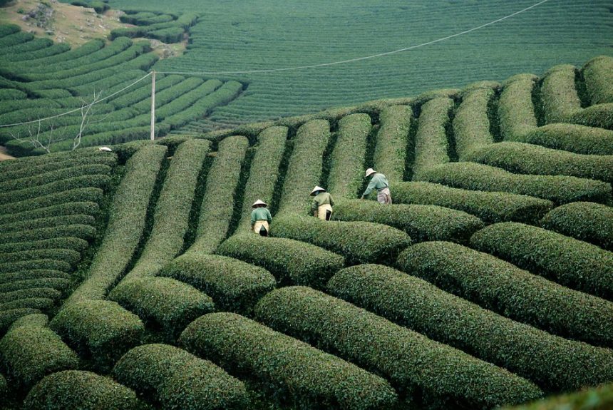 Las Implicaciones de la Pensión Alimenticia en el Derecho Familiar: Un Enfoque Local | Derecho Familiar y Protección Legal en Baja California Sur