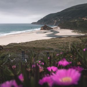 Unidos por el Deporte: Celebrando la Diversidad en Baja California Sur | Inclusión Social y Transformación en Baja California Sur