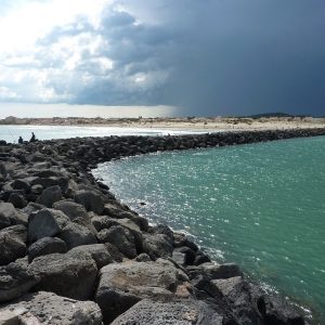 Cabo San Lucas: Ciudadanos Activos en la Construcción de un Futuro Sostenible | Liderazgo Ciudadano y Transformación en Baja California Sur