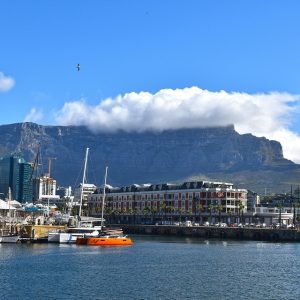 Cabo San Lucas y el Liderazgo Local: Forjando un Futuro Brillante | Liderazgo Ciudadano y Transformación en Baja California Sur