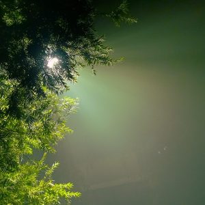 Espero que encuentres útiles estas sugerencias para tu contenido sobre fotografía profesional. | Fotografía Profesional y Momentos Especiales en Baja California Sur