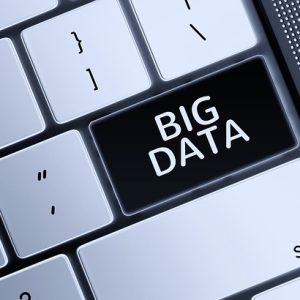 Datos y Estadísticas de Seguridad Ciudadana en Cabo San Lucas: ¿Qué Nos Dicen? | Seguridad en Baja California Sur