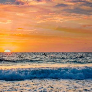 Cabo San Lucas: Pioneros del Cambio a Través de la Acción Ciudadana | Liderazgo Ciudadano y Transformación en Baja California Sur