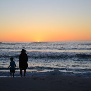Cabo San Lucas y el Derecho Penal: Retos y Soluciones Legales | Justicia Penal y Derechos en Baja California Sur