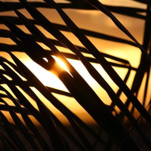 Cabo San Lucas y la Educación Física: Abriendo Espacios para Todos | Inclusión Social y Transformación en Baja California Sur