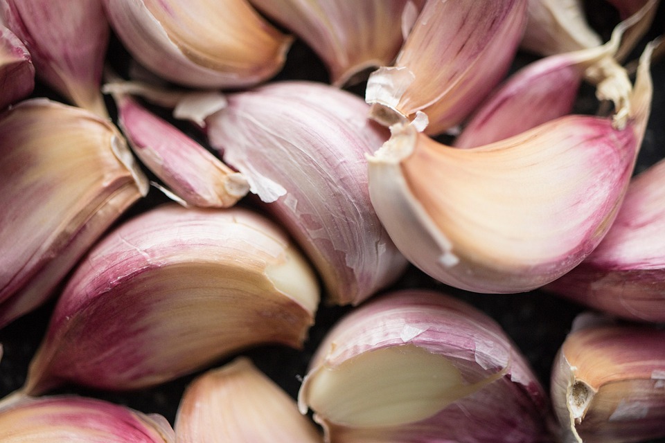 Claves para Comprender el Proceso de Pensión Alimenticia en la Legislación de Baja California Sur | Derecho Familiar y Protección Legal en Baja California Sur