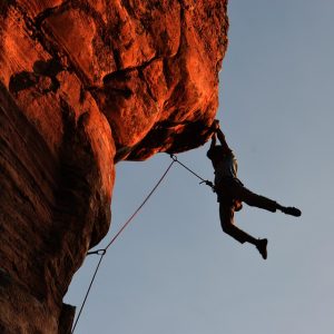 Deporte-y-Diversidad-El-Compromiso-de-Cabo-San-Lucas-con.jpg Deporte y Diversidad: El Compromiso de Cabo San Lucas con la Inclusión | Inclusión Social y Transformación en Baja California Sur