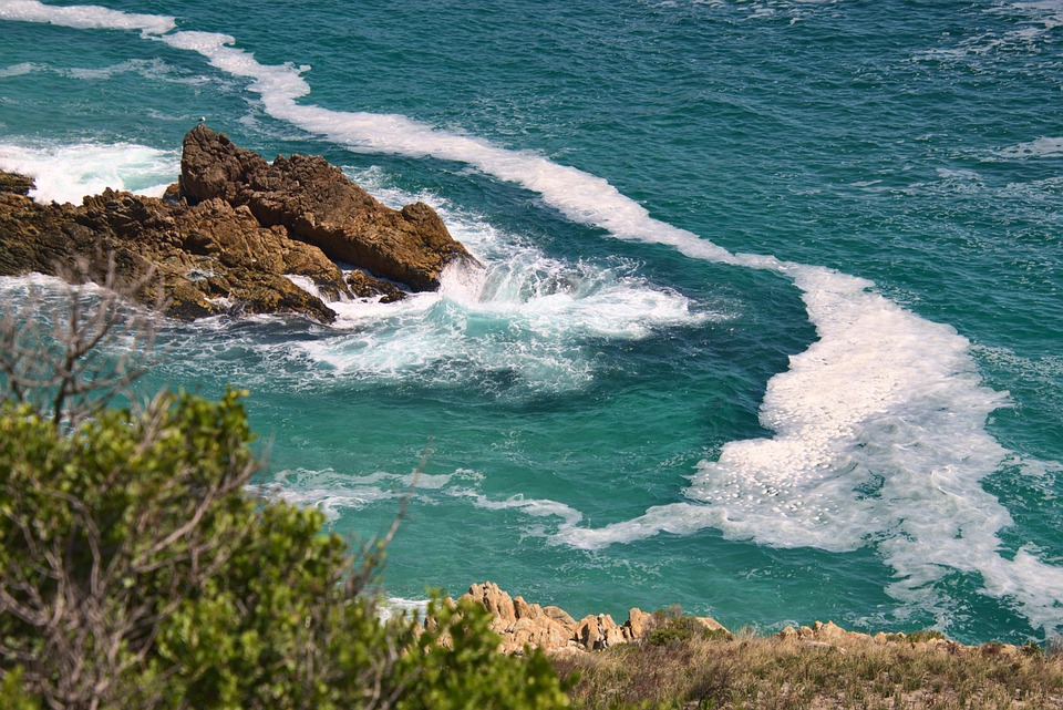 Una Marea de Inclusión: El Movimiento Deportivo en Cabo San Lucas | Inclusión Social y Transformación en Baja California Sur