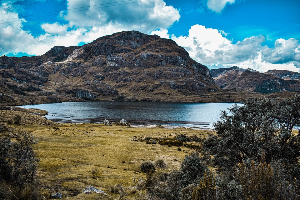 Naturaleza y Luz: Cómo Fotografiar los Más Bellos Paisajes de BCS | Fotografía Profesional y Momentos Especiales en Baja California Sur