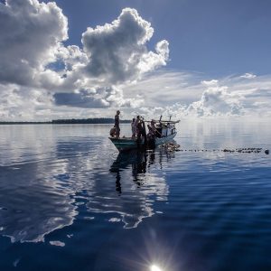 reflection-of-the-surface-of-the-water-2130719_960_720.jpg Bajo las Olas: Secretos de la Fotografía Submarina en Cabo San Lucas | Fotografía Profesional y Momentos Especiales en Baja California Sur