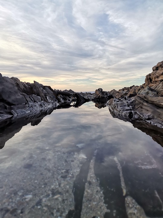 Cabo San Lucas: Un Ejemplo de Liderazgo Colaborativo y Responsabilidad Social | Liderazgo Ciudadano y Transformación en Baja California Sur