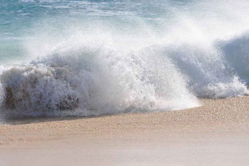 Cabo San Lucas: Empoderamiento Ciudadano en Acción | Liderazgo Ciudadano y Transformación en Baja California Sur