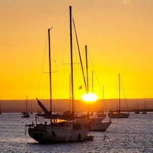 Baja California Sur: El Paraíso Fotográfico que No Te Puedes Perder | Fotografía Profesional y Momentos Especiales en Baja California Sur