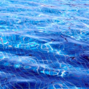 De la Superficie a lo Profundo: Fotografía Submarina en Cabo San Lucas | Fotografía Profesional y Momentos Especiales en Baja California Sur