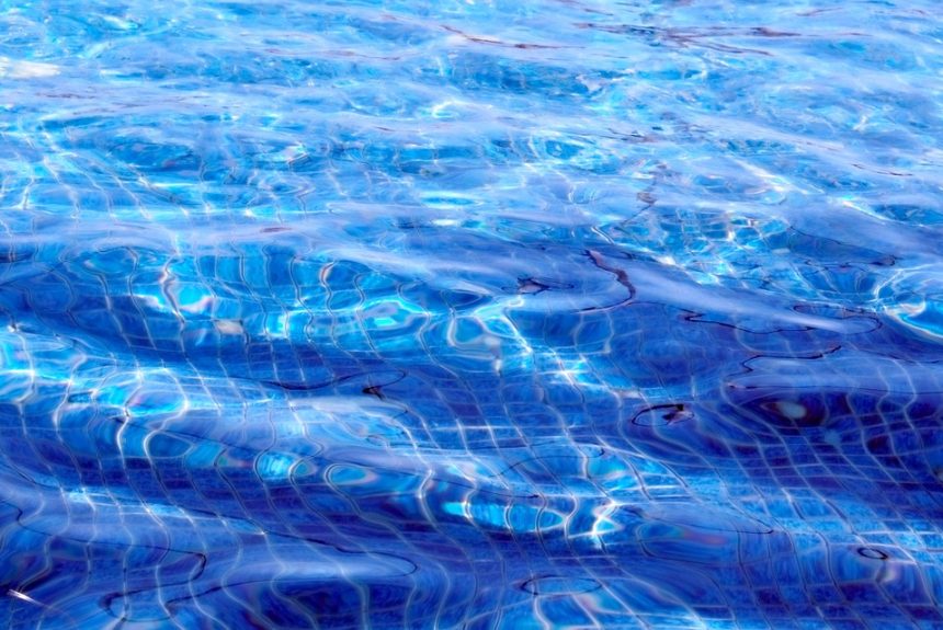 De la Superficie a lo Profundo: Fotografía Submarina en Cabo San Lucas | Fotografía Profesional y Momentos Especiales en Baja California Sur