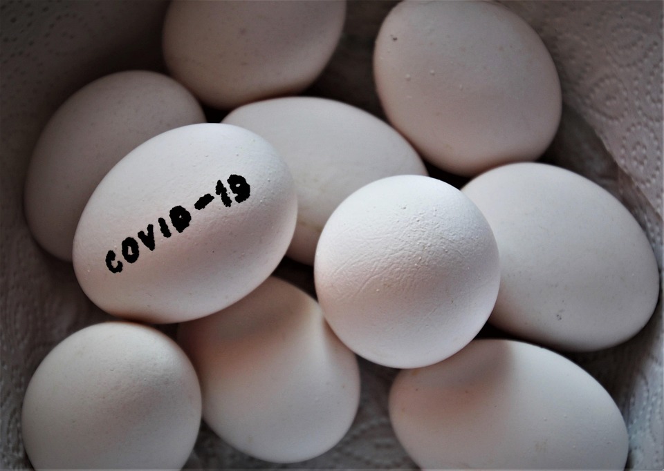 ¡Claro-Aqui-tienes-algunas-sugerencias-de-titulos-en-espanol-para.jpg ¡Claro! Aquí tienes algunas sugerencias de títulos en español para artículos sobre pensiones alimenticias y derecho familiar en Cabo San Lucas, enfocados en la protección de los derechos infantiles: | Derecho Familiar y Protección Legal en Baja California Sur