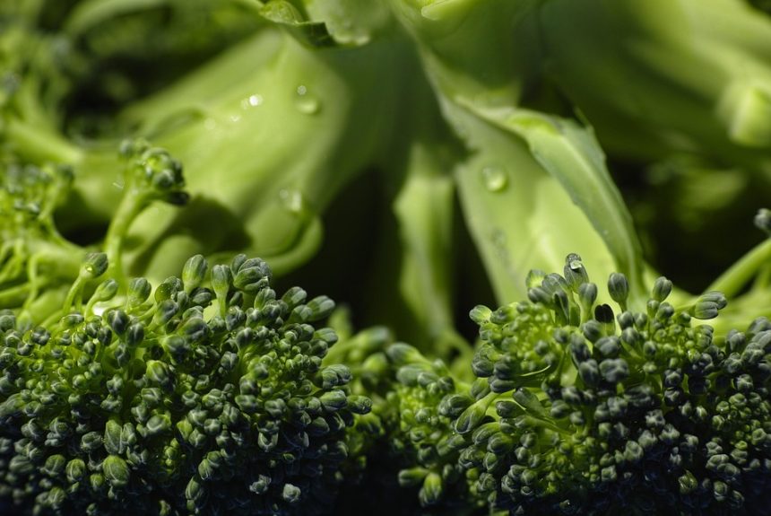 Alimentos para la infancia: Claves para entender la pensión alimenticia en Cabo San Lucas | Derecho Familiar y Protección Legal en Baja California Sur