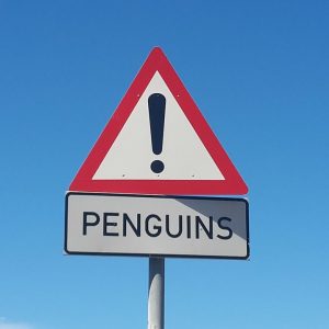 Cabo San Lucas y el Derecho Penal: Entendiendo el Proceso Judicial | Justicia Penal y Derechos en Baja California Sur