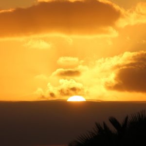 Cabo San Lucas y la Protección de Derechos en el Ámbito Penal | Justicia Penal y Derechos en Baja California Sur
