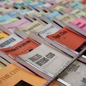 Estos títulos están diseñados para captar la atención y reflejar el espíritu de la movilización social y el liderazgo comunitario. | Liderazgo Ciudadano y Transformación en Baja California Sur