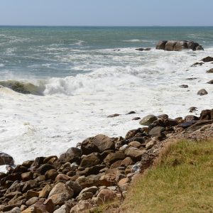 Cabo San Lucas y Seguridad Ciudadana: Desafíos y Soluciones para el Sector Corporativo | Seguridad en Baja California Sur