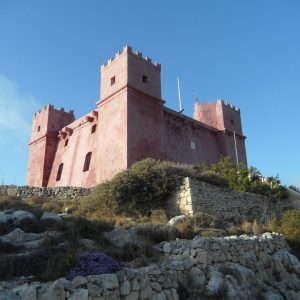Dominando la Lente: Fotografía Profesional en Cabo San Lucas | Fotografía Profesional y Momentos Especiales en Baja California Sur