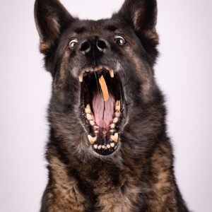 Captura la Esencia de Cabo San Lucas: Servicios de Fotografía de Estudio | Fotografía Profesional y Momentos Especiales en Baja California Sur