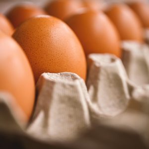 egg-7345934_960_720.jpg Estos títulos son informativos y están diseñados para atraer la atención en redes sociales. | Seguridad en Baja California Sur