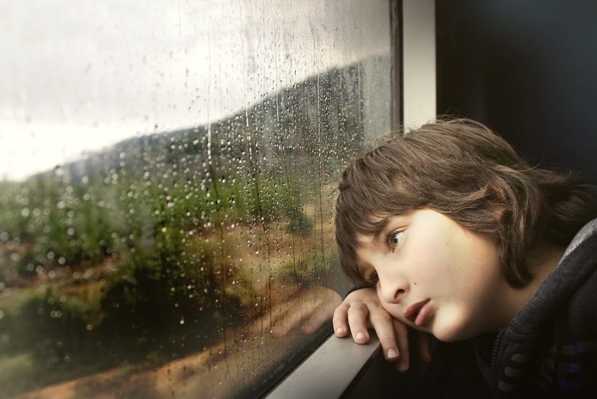 little-boy-731165_960_720.jpg Espero que te sirvan de inspiración. ¡Buena suerte con tus artículos! | Fotografía Profesional y Momentos Especiales en Baja California Sur