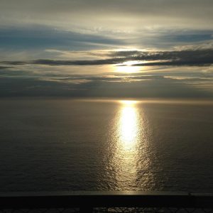 Cabo San Lucas en Acción: Historias de Activismo que Inspiran | Liderazgo Ciudadano y Transformación en Baja California Sur