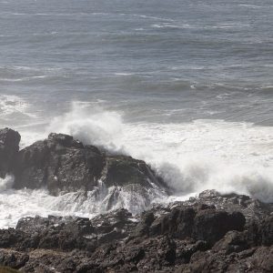 ocean-7221997_960_720.jpg Impacto de la Prevención del Delito en el Turismo de Cabo San Lucas | Seguridad en Baja California Sur