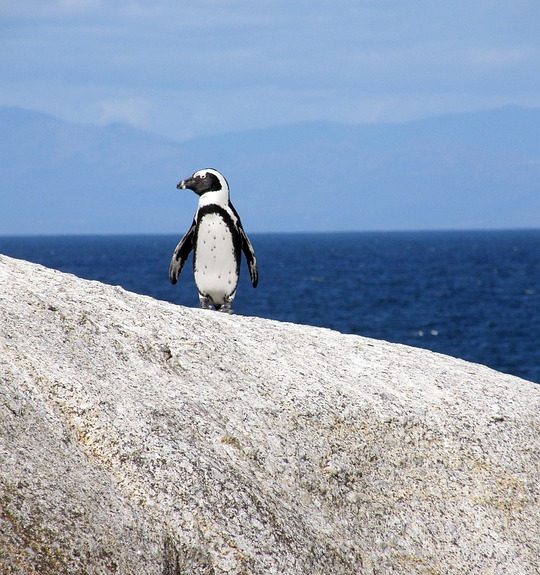 Cabo San Lucas a Través de la Cámara: Retratando Su Belleza | Fotografía Profesional y Momentos Especiales en Baja California Sur