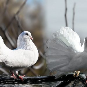 Imágenes que Atrapan: La Fotografía de Interiores en el Corazón de Los Cabos | Fotografía Profesional y Momentos Especiales en Baja California Sur