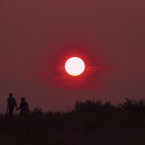 sunset-166637_960_720.jpg Juntos Hacemos Más: La Importancia del Liderazgo Inclusivo en la Comunidad de Cabo San Lucas | Liderazgo Ciudadano y Transformación en Baja California Sur