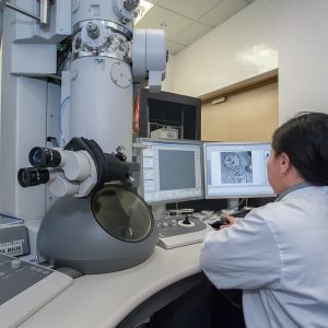 Investigación Delictiva y Seguridad Pública: Propuestas para un Cabo San Lucas Más Seguro | Seguridad en Baja California Sur