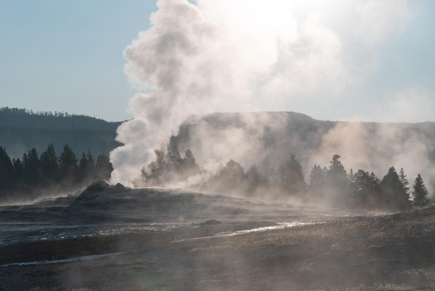 yellowstone-national-park-6729237_960_720.jpg Unidos por Cabo: El Impacto de la Acción Ciudadana en el Corazón de la Comunidad | Liderazgo Ciudadano y Transformación en Baja California Sur